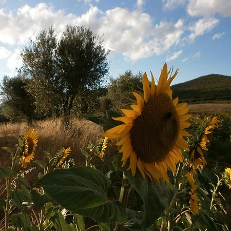 I Casali Di Colle San Paolo Villa Tavernelle  Kültér fotó