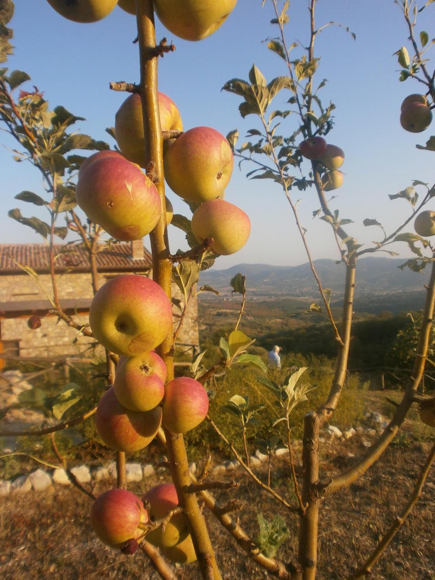 I Casali Di Colle San Paolo Villa Tavernelle  Kültér fotó