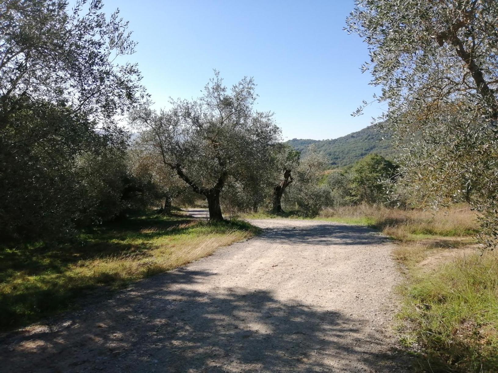 I Casali Di Colle San Paolo Villa Tavernelle  Kültér fotó