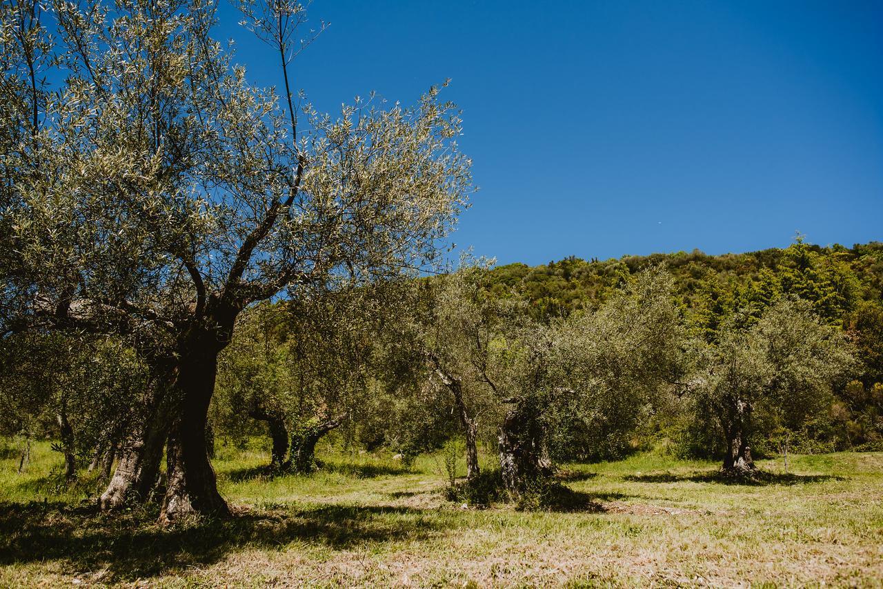 I Casali Di Colle San Paolo Villa Tavernelle  Kültér fotó